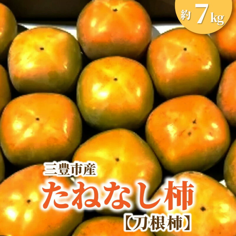 【ふるさと納税】 たねなし柿 三豊市産たねなし柿（刀根柿）約7kg [ 柿 かき カキ 三豊市産 たねなし柿 刀根柿 産地直送 果汁豊富 甘みしっかり コリコリ食感 家庭用 贈答用 フルーツお取り寄せ 10000 10,000円 台 香川県 三豊市 五色青果 ]