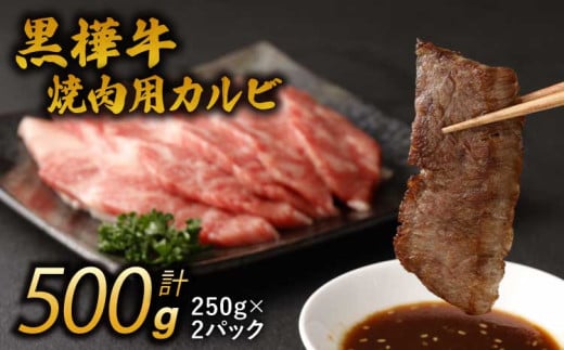焼き肉 A4-A5等級 カルビ 500g(250g×2パック)  杉本本店 黒樺牛