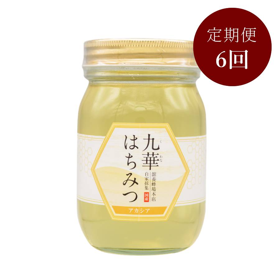 ＜舘養蜂場本店＞「九華はちみつ」（アカシア）500ｇ【6ヵ月定期便】