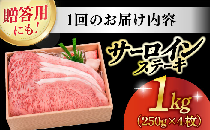 【6回定期便】 長崎和牛 A5ランク 特選 サーロインステーキ 4枚 計1kg 《小値賀町》【株式会社 OGAWA】 [DBJ016] 肉 和牛 黒毛和牛 サーロイン ステーキ A5 贅沢 [DBJ0