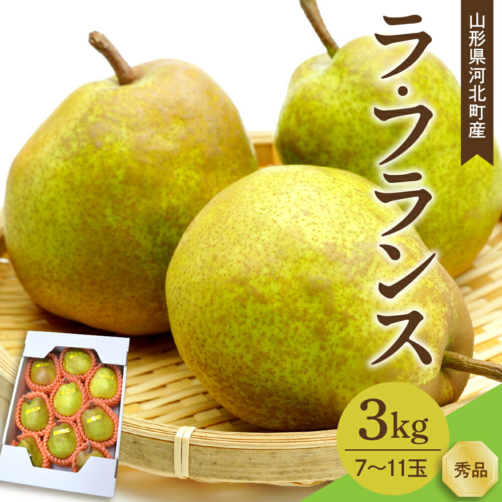 【ふるさと納税】【令和7年産】 洋梨 ラフランス 3kg ( 7～11玉前後 )/ 2025年産 ラ・フランス 西洋梨 なし フルーツ 果物 ギフト 箱入り 山形県 河北町