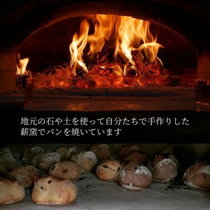 ロスパン詰め合わせセット（約10個）≪ロスパン 冷凍パン ベーグル 詰め合わせ 天然酵母 薪窯焼き フードロス 国産小麦≫