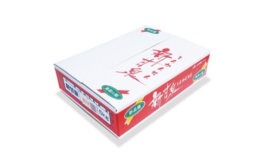 鳥取県産 新甘泉 5kg 3～4L 12～14玉【赤秀】（大山ブランド会）