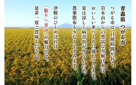 令和7年産 つがる市産「津軽のひとめぼれ」10kg [0897]