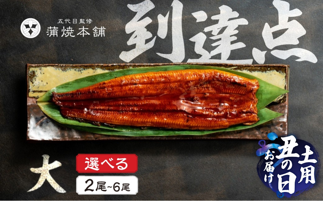 
            ≪土用の丑の日対応≫ ふっくら肉厚！国産うなぎ 蒲焼 大 2尾~6尾 選べる 老舗 国産うなぎ セット 詰め合わせ 蒲焼 ウナギ うなぎ unagi 鰻 2尾 4尾 6尾
          