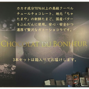 しあわせのガトーショコラ「マイルド」 3本入り(箱付き・贈答用) <離島は配送不可>【チョコレート チョコ お菓子 スイーツ ガトーショコラ 砂糖、卵、バター ショコラ ショコラ・デュ・ボヌール 長野