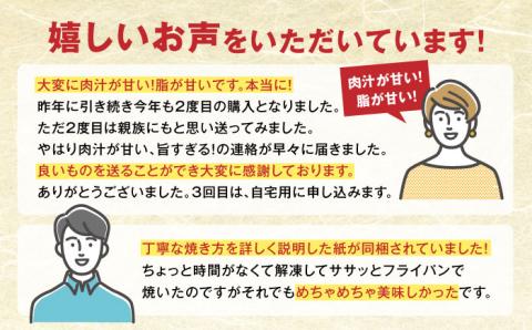 【全3回定期便】肥後の赤牛 ハンバーグ 150g×10個 熊本 赤牛 褐牛 あかうし 褐毛和種 肥後 冷凍 国産 牛肉【やまのや】[YDF011]