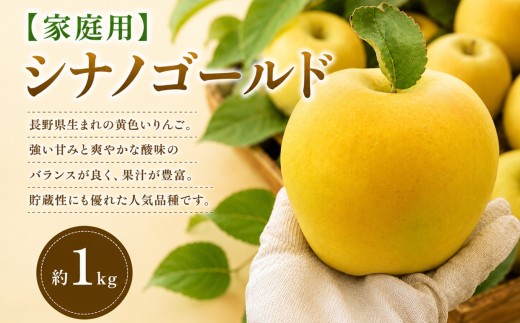 【2026年先行予約】【家庭用】シナノゴールド 約1kg【10月下旬～11月下旬頃にかけて順次発送予定】| 果物 くだもの シナノゴールド フルーツ 林檎 りんご リンゴ  果実 アップル 家庭用 長野県 塩尻市