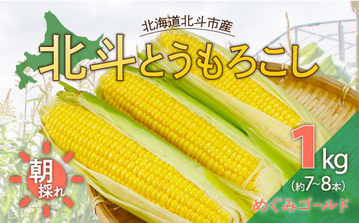 【先行受付】北斗とうもろこし 1kg (2026年8月より順次発送) HOKY003