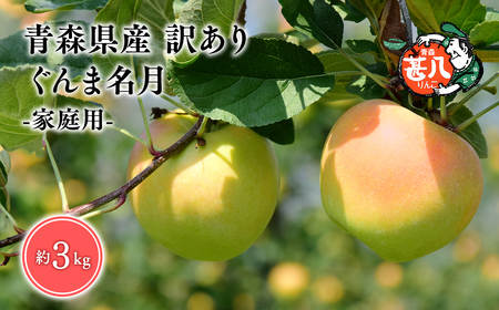 りんご ぐんま名月 訳あり３kg りんご