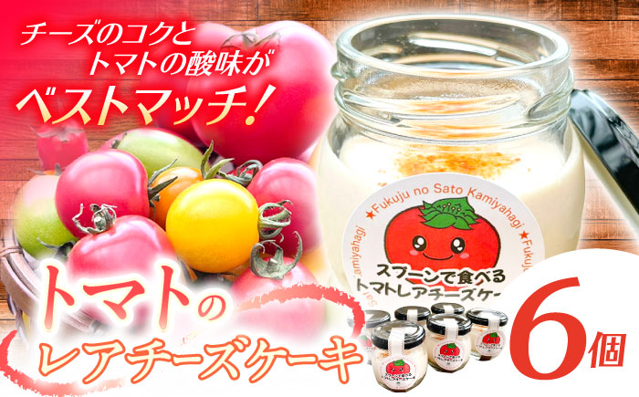 【スピード配送】オリジナルトマトのレアチーズケーキ / チーズケーキ レアチーズケーキ ケーキ スイーツ トマト とまと / 恵那市 / 道の駅上矢作ラ・フォーレ福寿の里 [AUCL006]