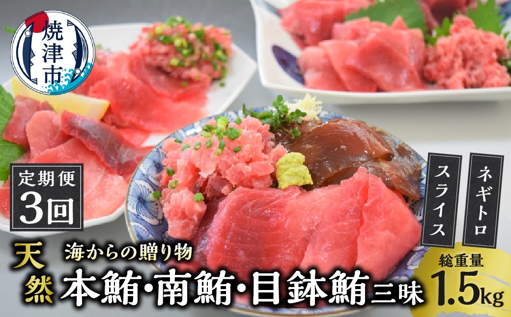
                  a30-330　海からの贈り物 焼津天然まぐろ三昧 切り落とし(3回お届け)定期便 まぐろ マグロ ねぎとろ 鮪たたき 小分け 人気 個包装 ネギトロ丼
                