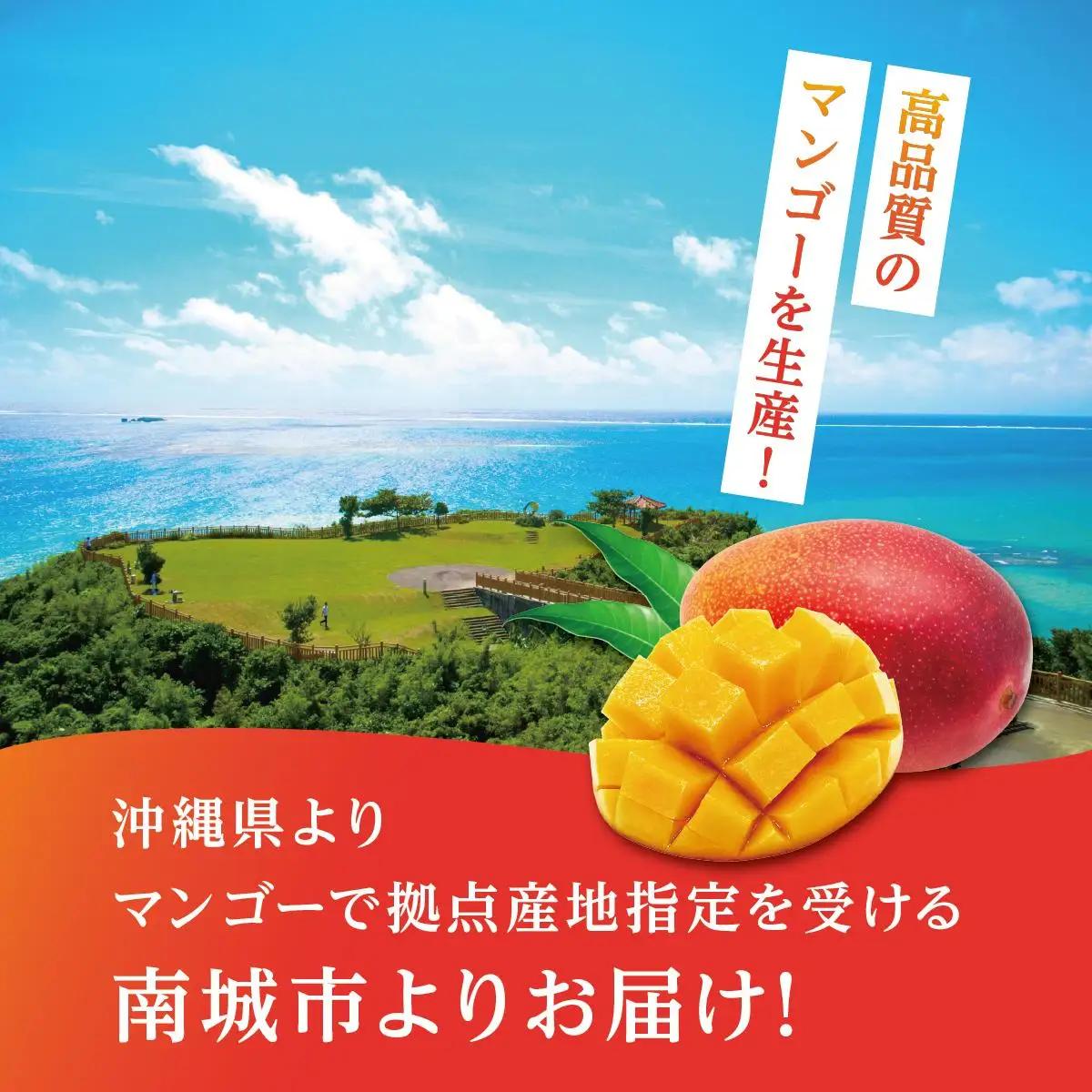 ＜優品＞幻のキーツマンゴー約1kg（化粧箱）