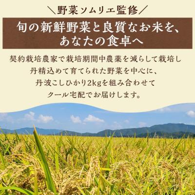 ふるさと納税 亀岡市 季節の旬の京野菜・こしひかり・地たまごの詰め合わせセット |  | 02