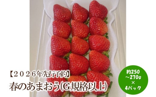 【2026年先行予約】春のあまおう(G規格以上4パック)【044-0064】