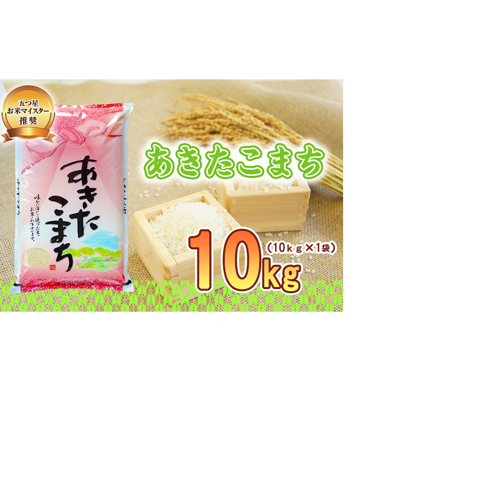 佐々木米穀店 米 五つ星お米マイスター推奨 あきたこまち 10kg 岩手 盛岡市産 お米 白米 精米 ご飯 ブランド米 新米 令和6年産 産地直送 送料無料 コメ こめ おこめ 令和6年 2024年 岩手県 盛岡 盛岡市