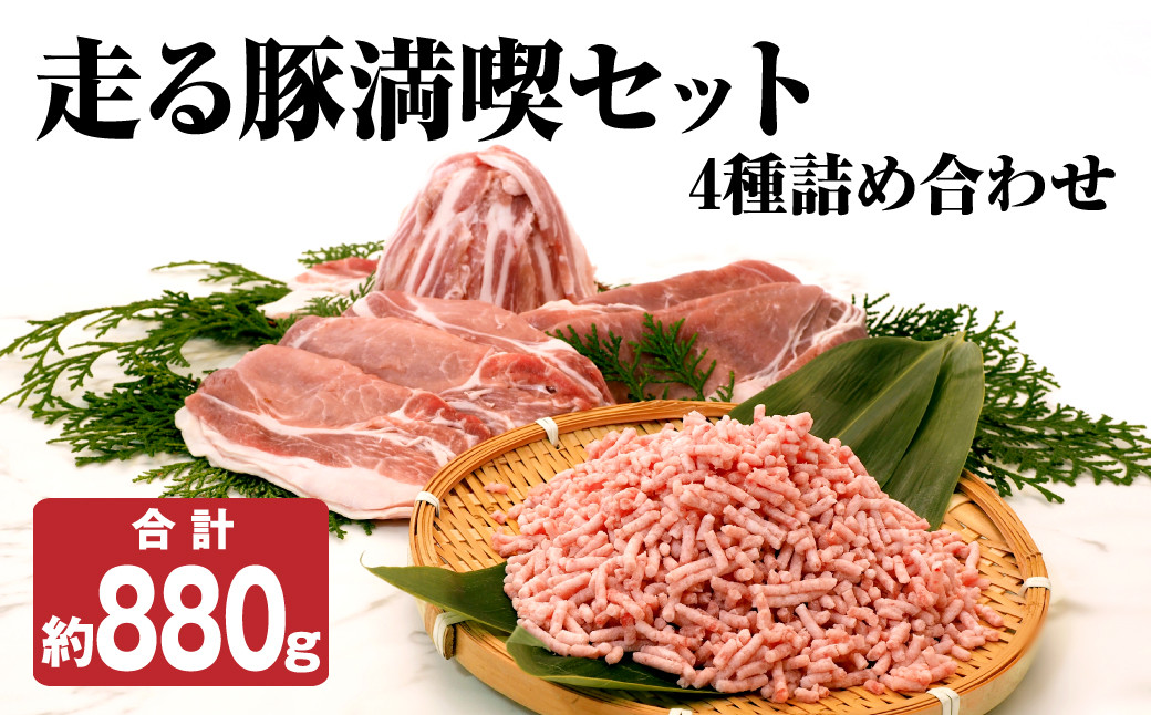 走る豚 満喫セット 4種 詰め合わせ 合計約880g ミンチ ロース もも バラ スライスst-p