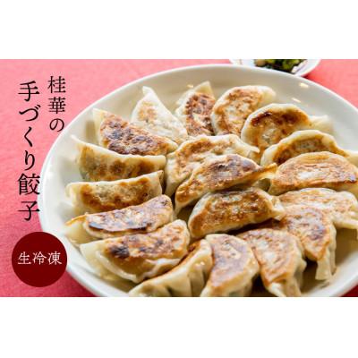 ふるさと納税 津山市 津山黒豚手作り冷凍生餃子(100個セット) |  | 03