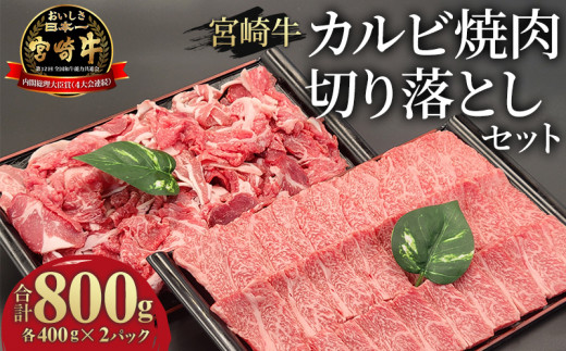 
宮崎牛 カルビ焼肉・切り落とし セット 計800g_M243-002
