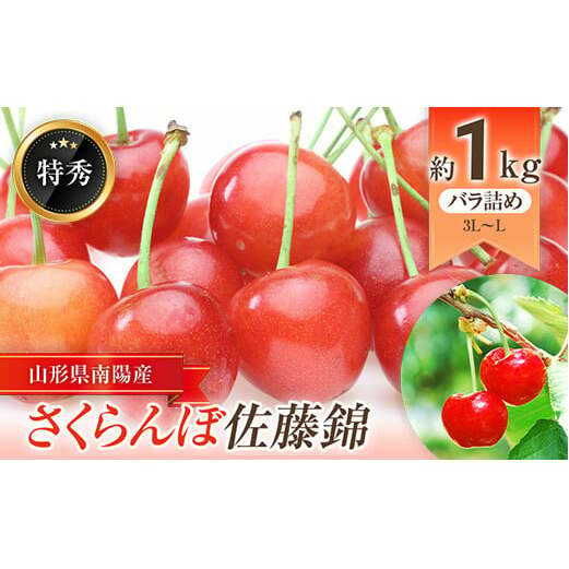 【令和7年産先行予約】 さくらんぼ 「佐藤錦」 約1kg (約500g×2パック 特秀 L～3L) バラ詰め 《令和7年6月中旬～発送》 『大野さくらんぼ団地』 サクランボ 果物 フルーツ 山形県 南陽市 [671]