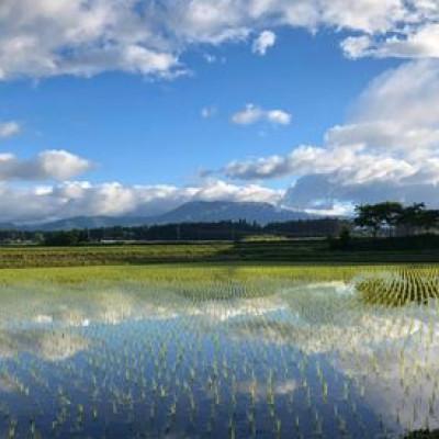 ふるさと納税 那須塩原市 那須山麓ミネラル米　人見農園のコシヒカリ(精米)3kg |  | 01