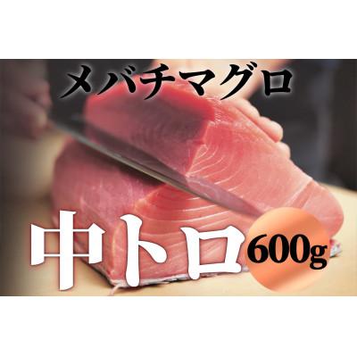 ふるさと納税 茂原市 豪華!中トロセット!マグロ 中トロセット (本マグロ600g+メバチマグロ600g) |  | 02