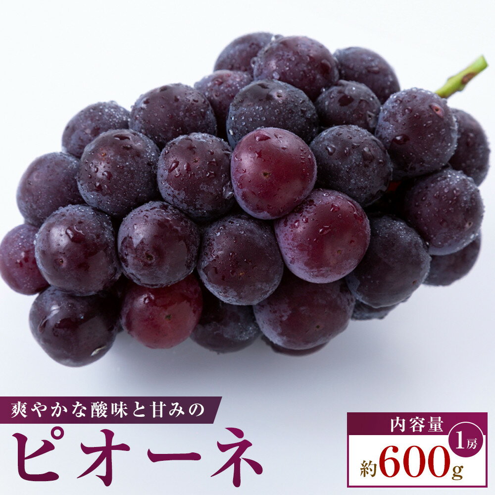 【ふるさと納税】【食べきりサイズ】ピオーネ　約600g
