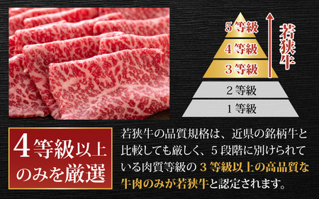 【肉の定期便×6回コース】肉好き大集合！若狭牛 食べ比べ 定期便！【福井のブランド牛肉】【4等級以上】