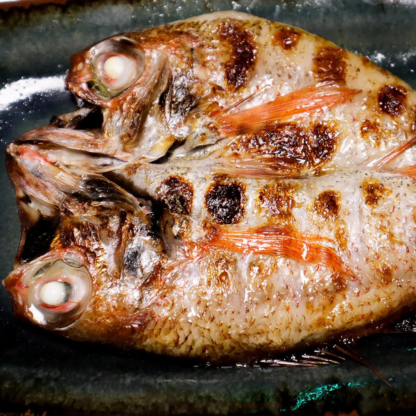 のどぐろ のどぐろ塩糀漬け 500g [AICQ006] のどぐろ