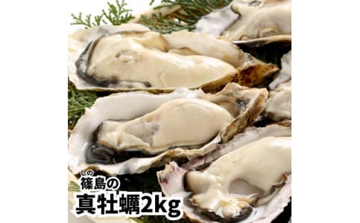 牡蠣 殻付き 生食用 2kg 冷凍 真牡蠣 牡蠣 かき カキ 貝 魚介 魚貝 海鮮 魚介類 魚貝類 つまみ 魚貝 海鮮 魚介類 魚貝類 BBQ 牡蠣 かき カキ 貝 魚介 魚貝 海鮮 魚介類 魚貝類 バーベキュー 牡蠣 かき カキ 貝 魚介 魚貝 海鮮 魚介類 魚貝類 真牡蠣  貝 魚介 魚貝 海鮮 魚介類 魚貝類 ふるさと納税牡蠣 ふるさと納税カキ 人気 おすすめ 愛知県 南知多町