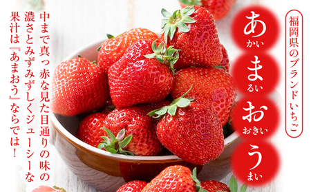 濃厚あまおうジェラート 1000ml 南国フルーツ株式会社《30日以内に出荷予定(土日祝除く)》福岡県 鞍手町 あまおう いちご ジェラート 果物 送料無料