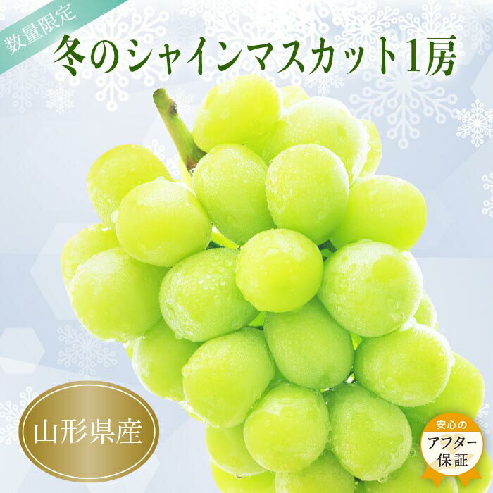 【ふるさと納税】＼アフター保証対象品／ 高評価★5 山形 冬に味わう シャインマスカット 人気 の 種なし ぶどう 1房 （約700〜800g） 特別な貯蔵方法で 秋の旬が冬にも味わえる 化粧箱入り ギフト にもぴったり 令和7年 2025 H067(R7)