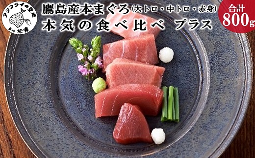鷹島産本まぐろ本気の食べ比べプラス(大トロ・中トロ・赤身合わせて800g)【D5-006】