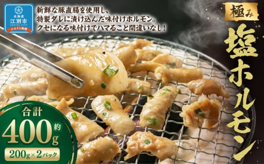 極み塩ホルモン 400g(200g×2袋)