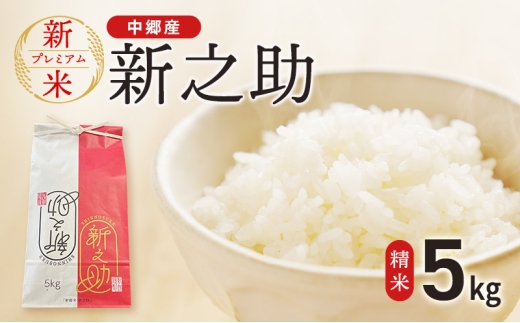 新米 令和7年 新潟県 上越市産 新之助 5kg やまざきふぁーむ 送料無料　精米 5キロ お米 コメ 白米 上越市 中郷区 中郷産