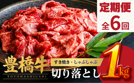 豊橋牛 定期便6回毎月 1kg 国産 牛肉