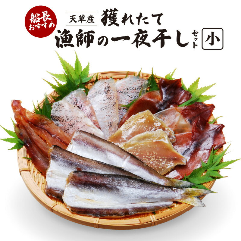 【ふるさと納税】干物 天然 獲れたて 旬 小 約 5パック一夜干し カマス エソ イトヨリ アオナ メシマ メゴチ 鮮度 新鮮 厳選