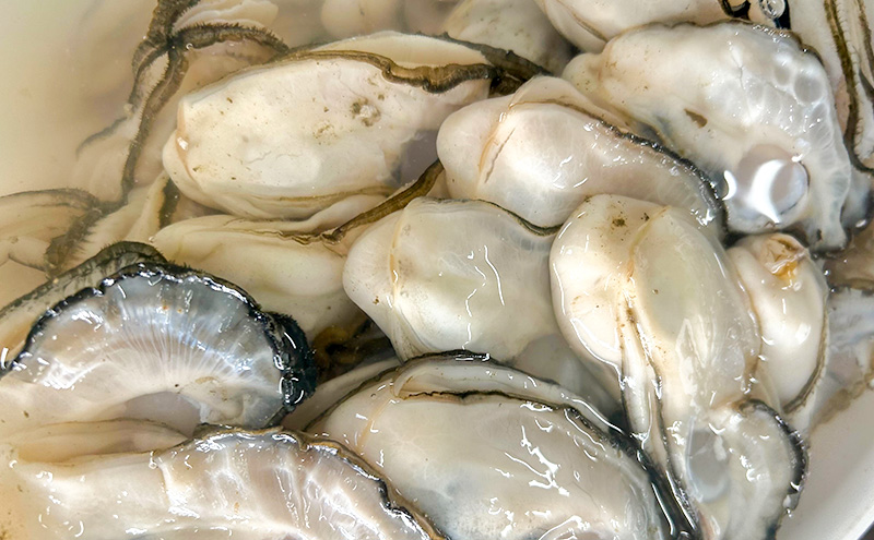 北海道 サロマ湖産 牡蠣 剥き身 400g×2 生食用 かき カキ 海鮮 魚介 国産 むき身 生牡蠣 冷蔵 産地直送 オホーツク 魚貝類