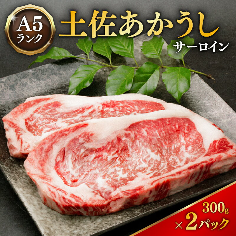 【ふるさと納税】 ｢土佐あかうし｣サーロインステーキ300g×2枚 希少 土佐あかうし サーロイン 約300g×2枚 600g 牛肉 冷凍 国産 国産牛 牛サーロイン ステーキ 和牛 ブランド牛 赤身 お肉 あか牛 赤牛 高知県産 安田町 MT-10