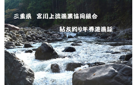 
三重県 宮川上流漁業協同組合 鮎 友釣り 年券 遊漁証 ／ 釣り 川釣り アウトドア 三重県 大台町
