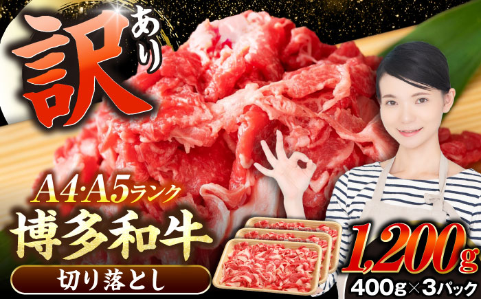 
                  【訳あり】【A4〜A5】博多和牛 切り落とし 1.2kg（400g×３個）《豊前市》【株式会社木村食品】[VDZ022] 牛肉 ブランド牛 肉 切落し わけあり ぎゅうにく 訳あり ワケアリ にく 切り落とし きりおとし 小分け 冷凍 人気
                