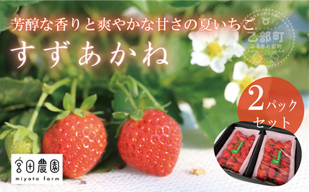 ＜すずあかね 2パックセット＞宮田農園こだわりの夏いちご！ 北海道 夏いちご すずあかね 甘酸っぱい