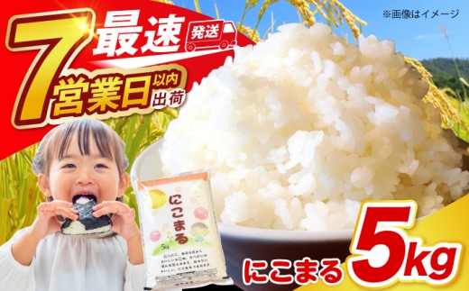 米 ＜スピード発送＞ 長崎県産 精米 にこまる 5kg / 精米 白米 お米 ライス ごはん 米 こめ ご飯 国産 お取り寄せ 白米 米 コメ お米 おこめ ライス 精米 人気 おすすめ ごはん ご飯 国産米 こめ お取り寄せ 産地直送 / 南島原市 / 大松屋商店 [SDR001]