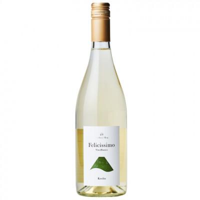 ふるさと納税 山梨市 カンティーナ・ヒロ【フェリチッシモ ヴィーノビアンコ 甲州&amp;シャルドネNV】白 750ml 1本