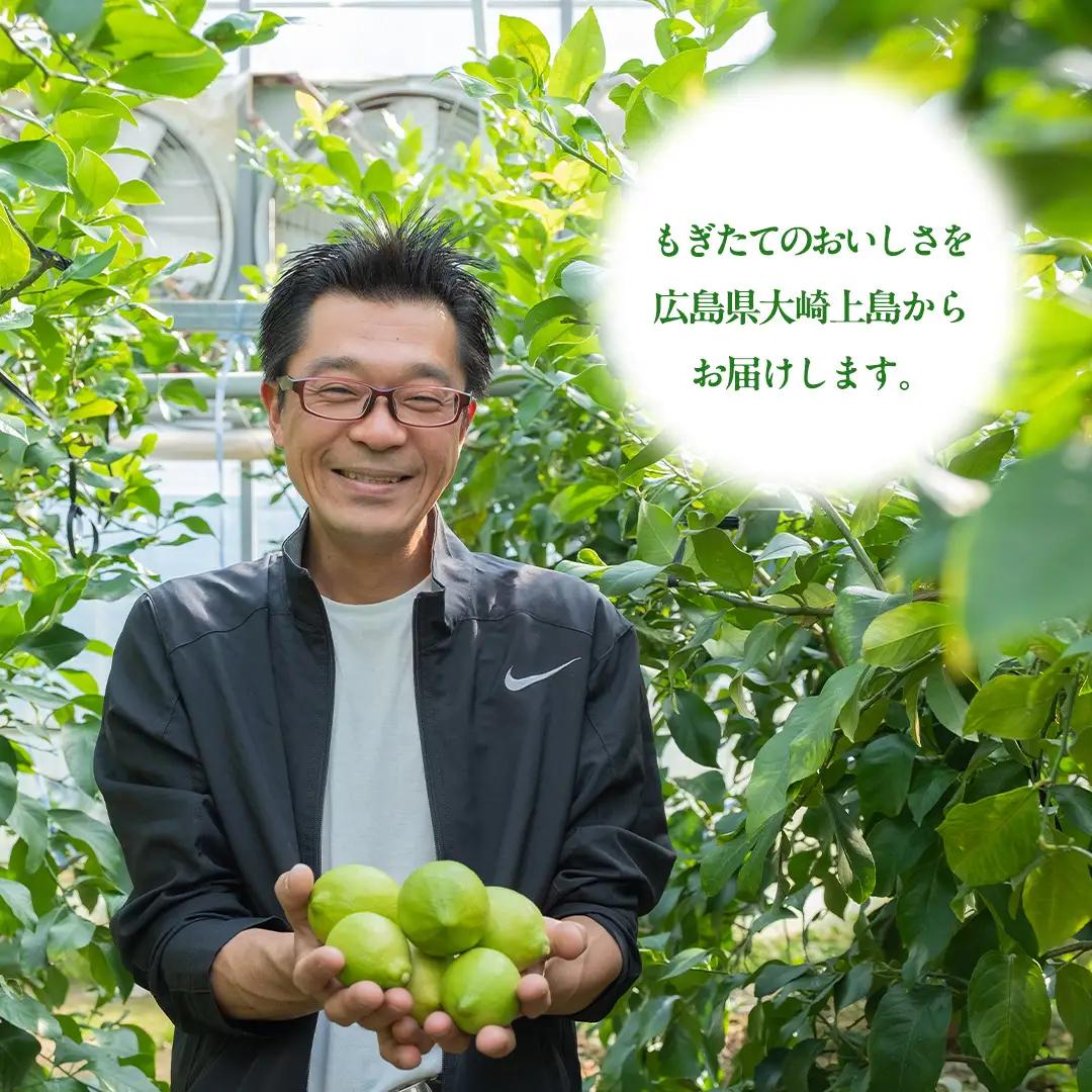 瀬戸内の ハウスグリーン レモン 約3kg【2026年8月以降発送】