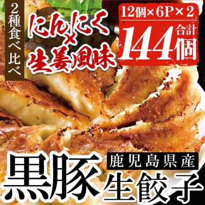 ふるさと納税 いちき串木野市 鹿児島黒豚生餃子2種(黒豚生餃子・生姜風味)食べ比べセット 計144個 タレ付き!国産野菜使用!