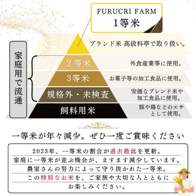 ふるさと納税 余市町 【定期便全6回】◇令和7年産◇余市産 ななつぼし(玄米) 10kg×6回_Y067-0334 |  | 01