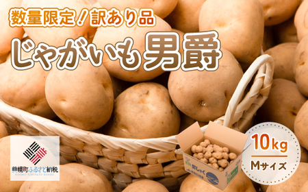「数量限定訳あり品」じゃがいも「男爵」Mサイズ・10kg じゃがいも イモ いも 男爵いも 北海道 美幌町 送料無料 BHRG061