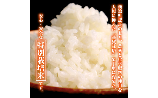 【令和8年産 先行予約】12月発送 新米 コシヒカリ 定期便 10kg 5kg×2袋 3か月 新潟 3回 3カ月 コンテスト入賞米 定期便 特栽米 新潟県産コシヒカリ 新発田産 新潟 ふるさと納税 米