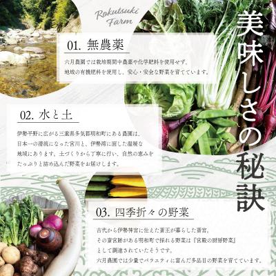 ふるさと納税 明和町 宮殿の厨房 野菜 おまかせ セット 六月農園 N5 |  | 01
